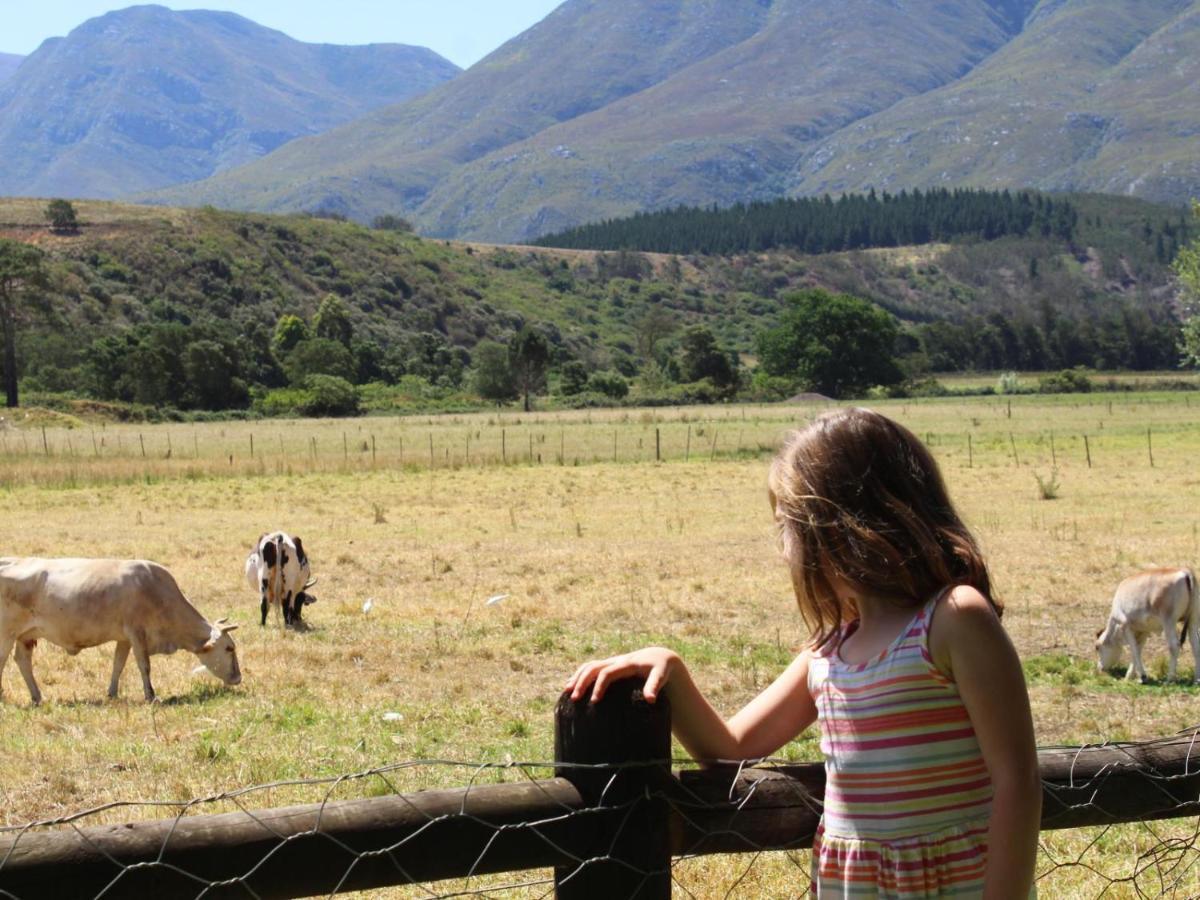 Arumvale Country Retreat Swellendam Eksteriør bilde