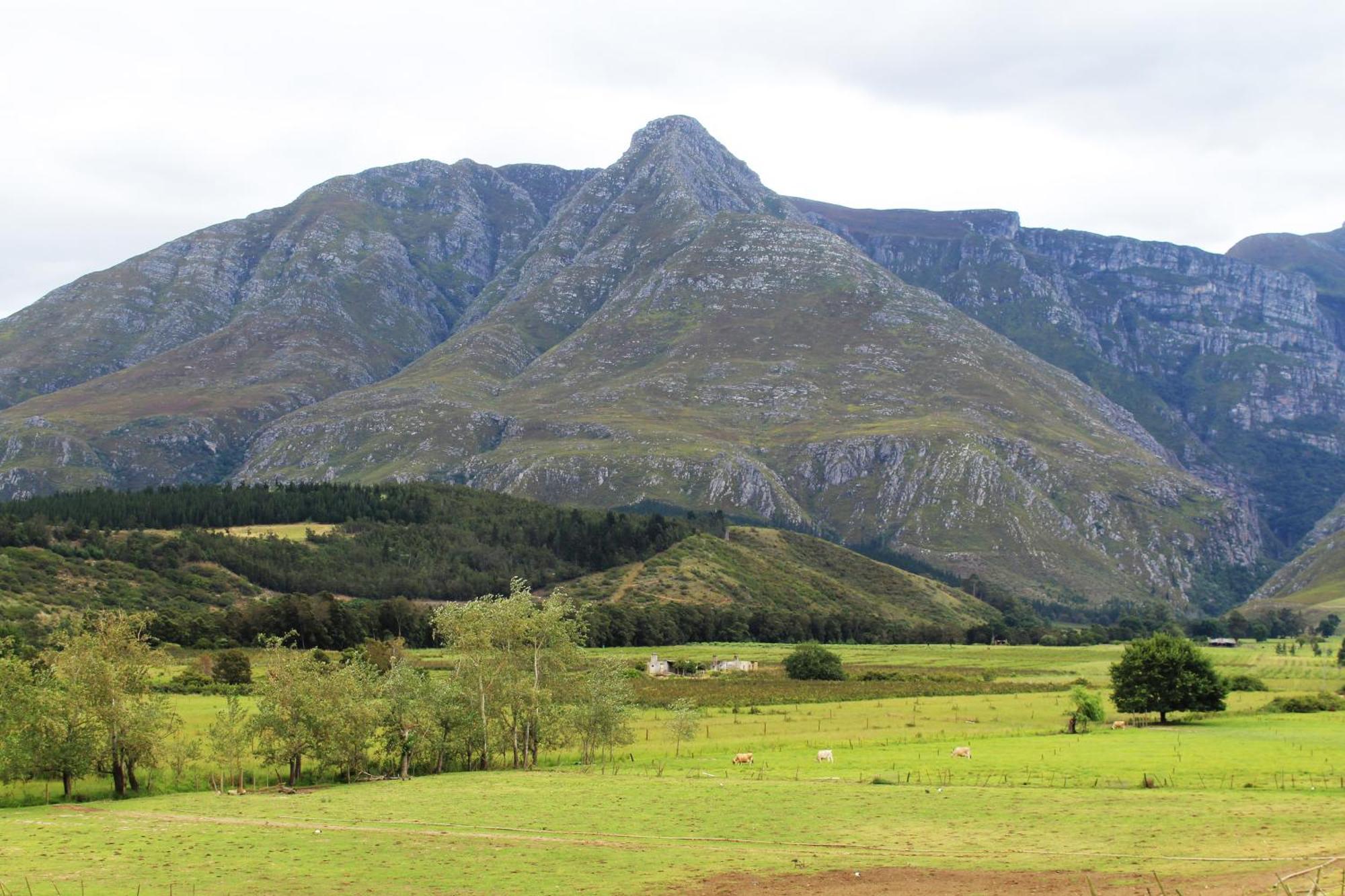 Arumvale Country Retreat Swellendam Eksteriør bilde